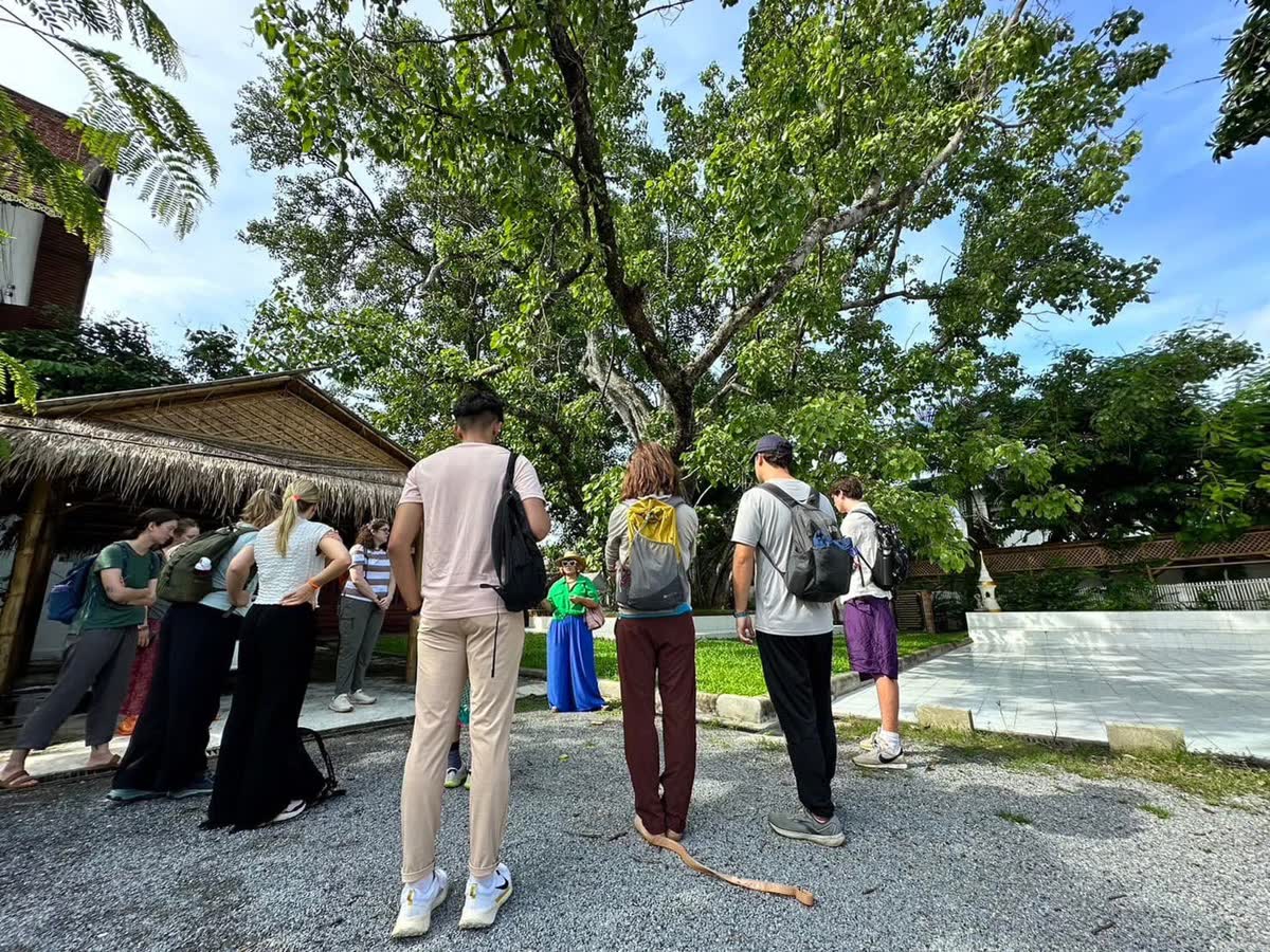 Guests on the Elliebum food walk in a temple garden, Chiang Mai Old City
